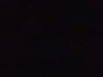 presidentialbryana Image 19