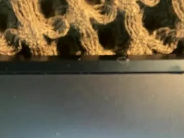 stardustgravity Image 18