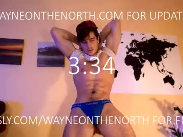 waynenorth Image 14