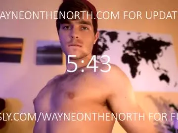 waynenorth Image 18