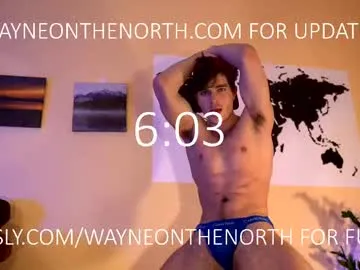 waynenorth Image 4