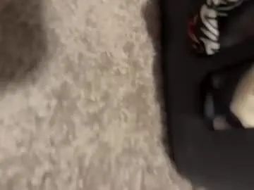 wetzel_236384638 Image 7